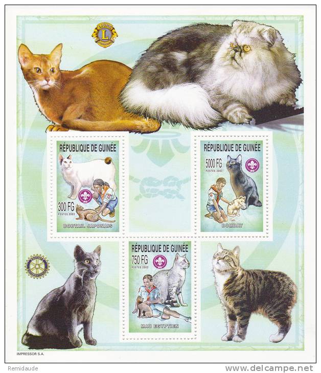 GUINEE - RARE BLOC N°2546/8 ** - COTE  = 27 EUROS - CHAT CATS + SCOUTISME - República De Guinea (1958-...)