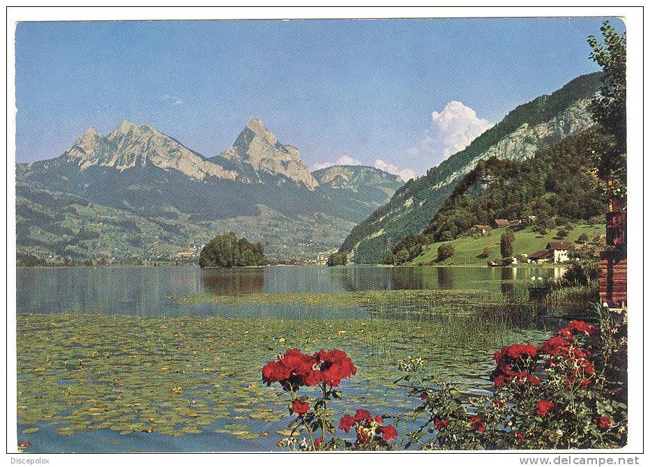 C1185 Lauerzersee Mit Mythen / Viaggiata 1975 - Lauerz