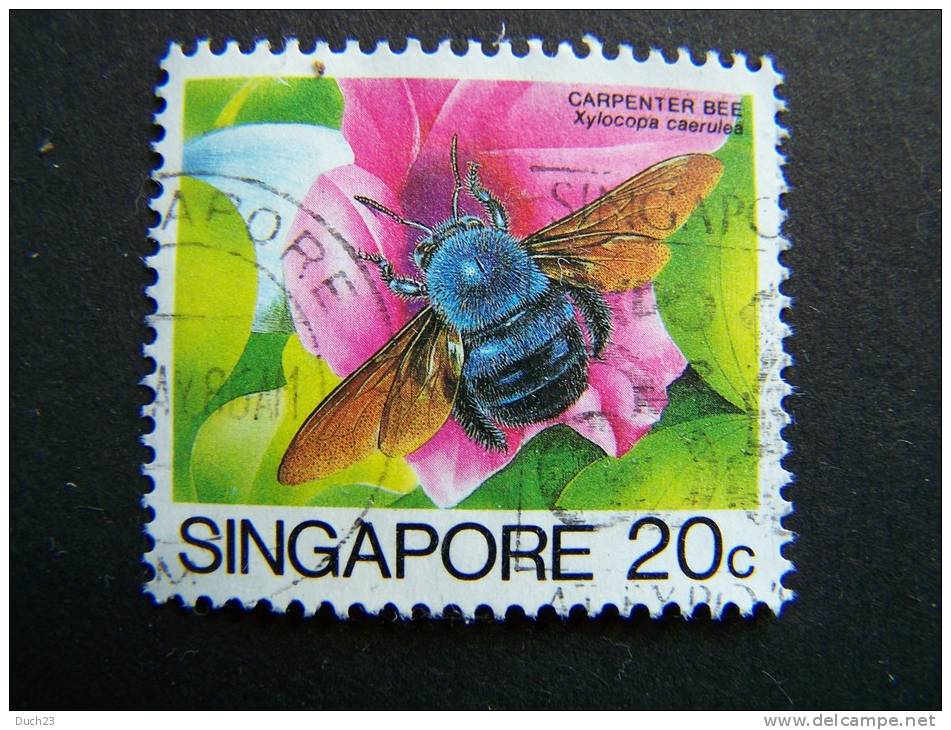 THEME INSECTE ABEILLE SINGAPOUR SINGAPORE - Honeybees