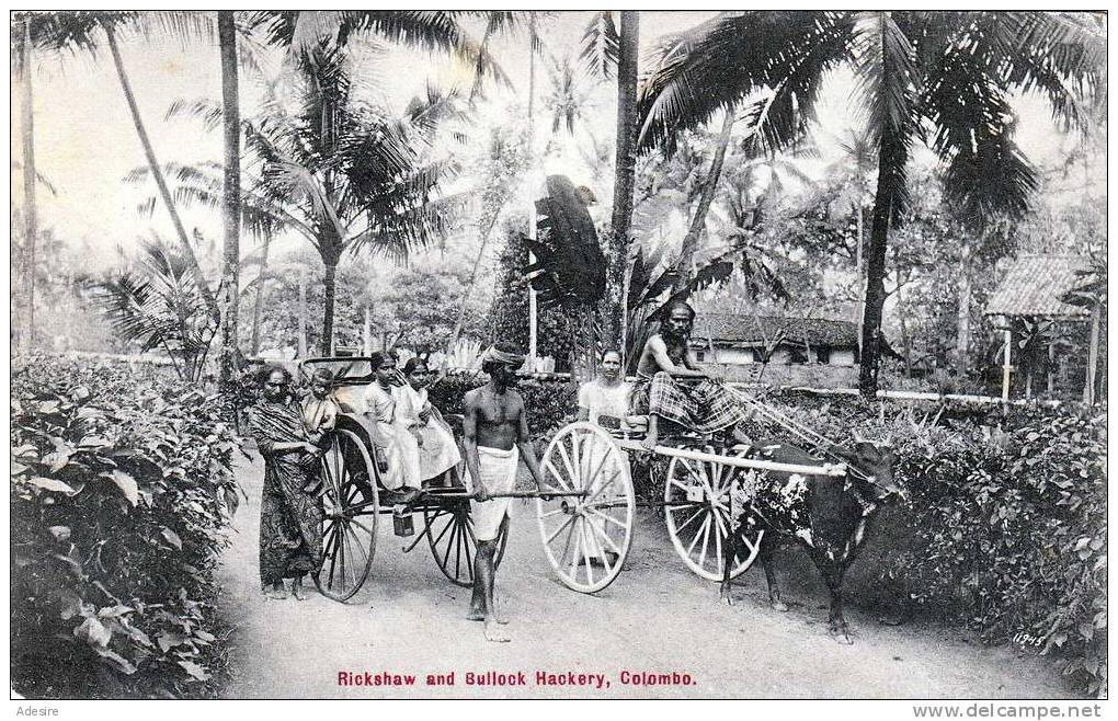 Ceylon COLOMBO, Rickshaw And Bullock Hackery, Nicht Gelaufen Um 1900, Gute Erhaltung - Sri Lanka (Ceylon)