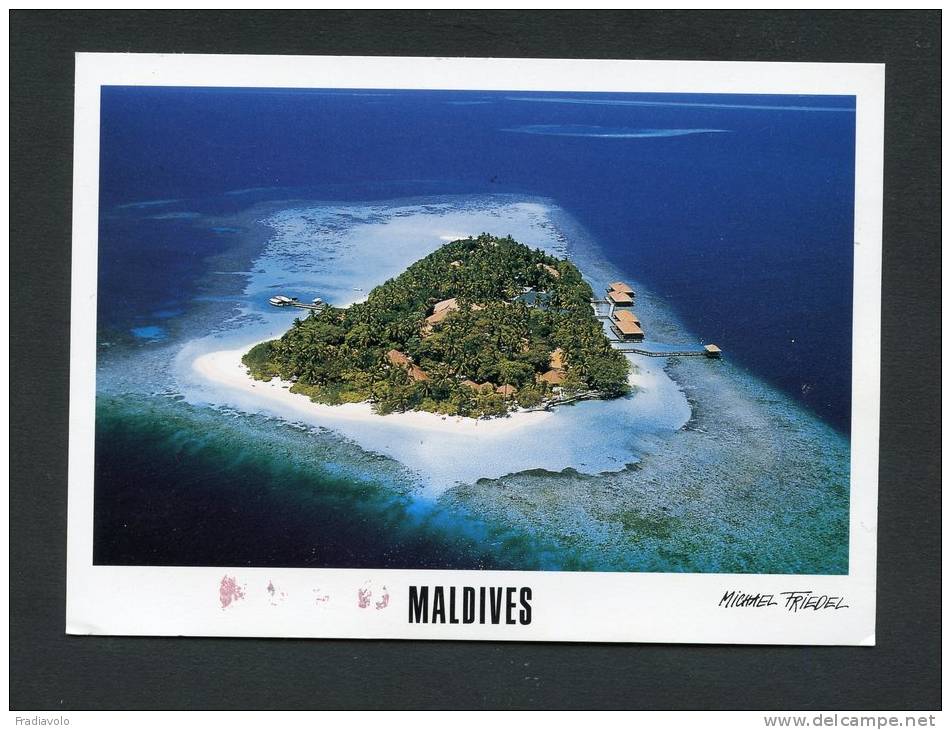 Embudu Island - Maldives - Maldiven