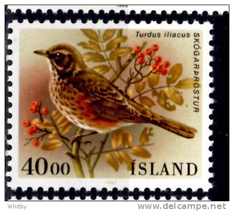 Iceland  1987 40k  Turdus Lilacus Issue #643 - Neufs