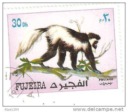 TIMBRE DES EMIRATS ARABES FUJEIRA - THEME LES SINGES - OBLITERE - Fujeira