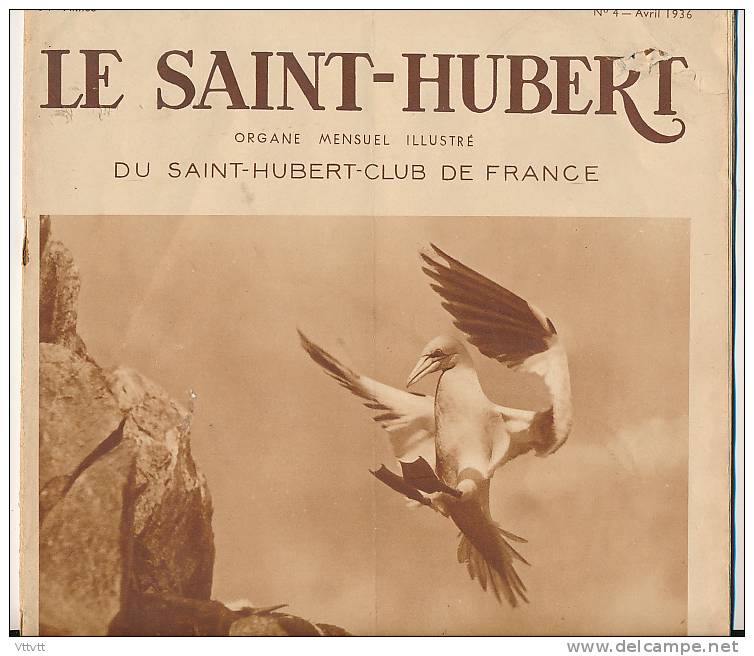 CHASSE "LE SAINT-HUBERT", N° 4 (1936) : Cerf, Rambouillet, Vénerie, Harles, Bécassines, Sologne, Chiens, Cynologie... - Fischen + Jagen
