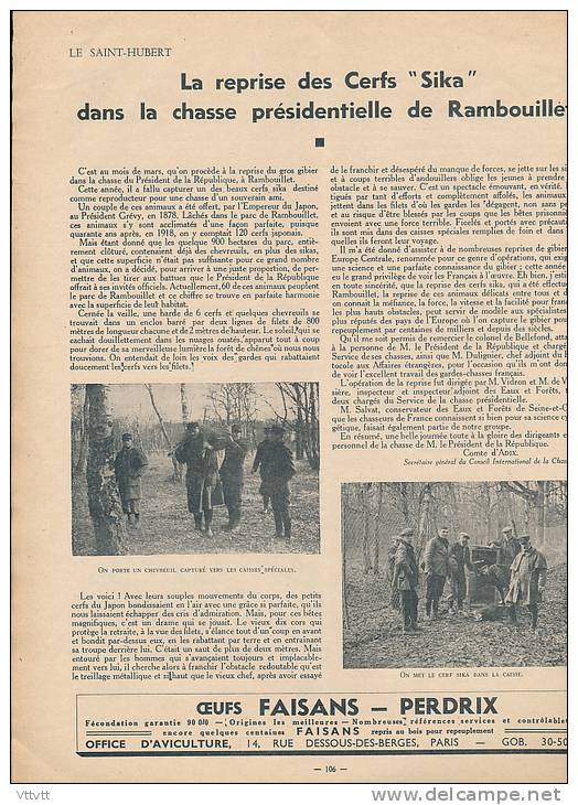 CHASSE "LE SAINT-HUBERT", N° 4 (1936) : Cerf, Rambouillet, Vénerie, Harles, Bécassines, Sologne, Chiens, Cynologie... - Fischen + Jagen