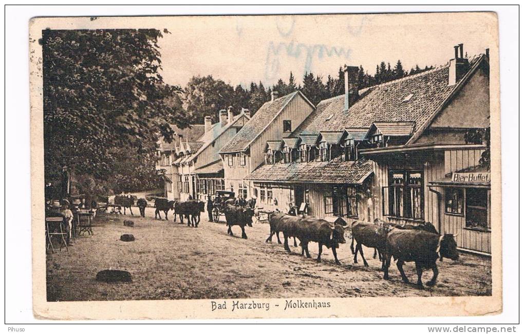 D2998     BAD HARZBURG : Molkenhaus - Bad Harzburg