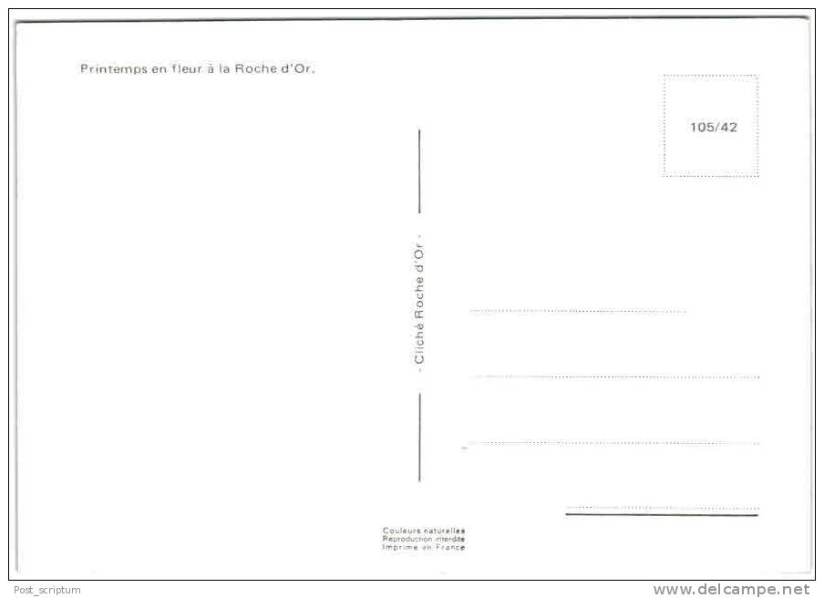 Foyer De Charité La Roche D'Or - 2 Carte : Printemps En Fleur Etfoyer Surplombant Le Doubs - Autres & Non Classés