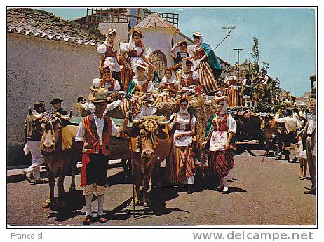 Canarias Tipica Romeria. Chars à Bœufs Décorés. - Other & Unclassified