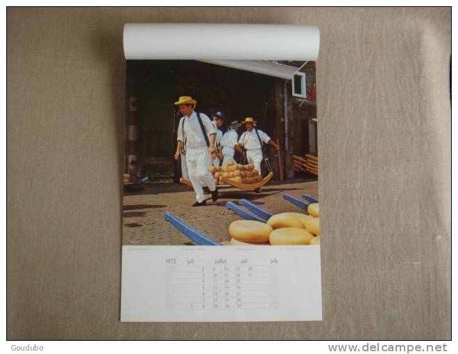 Grand Calendrier Neerlands Mozaiek. Kalender 1972. Van Rijkom . Voir Photos. - Other & Unclassified