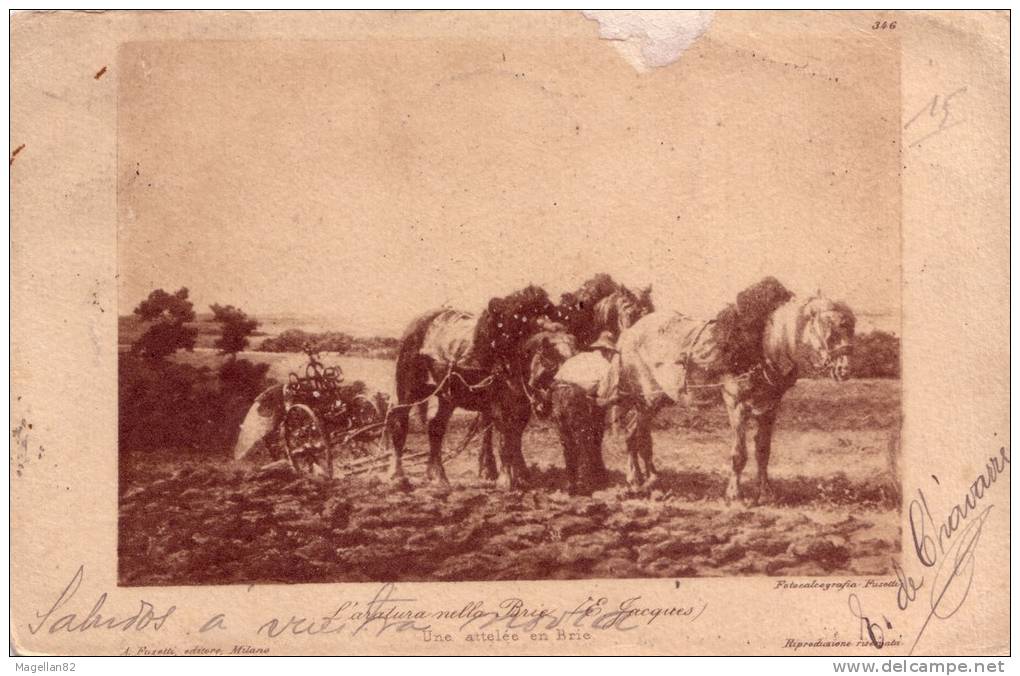 CPA. UNE ATTELEE EN BRIE. CHARRUE. CHEVAUX . ATTELAGE - Champagne-Ardenne