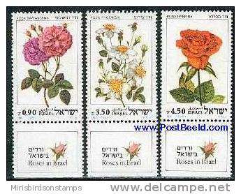 Israel 1981 Flowers MNH - Andere & Zonder Classificatie