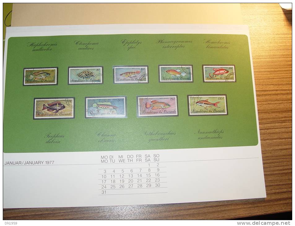 CALENDRIER AVEC TIMBRES POISSON FISH  ... Wundervolle Welt Der Fische ... Kalender 1977 ... - Big : 1971-80