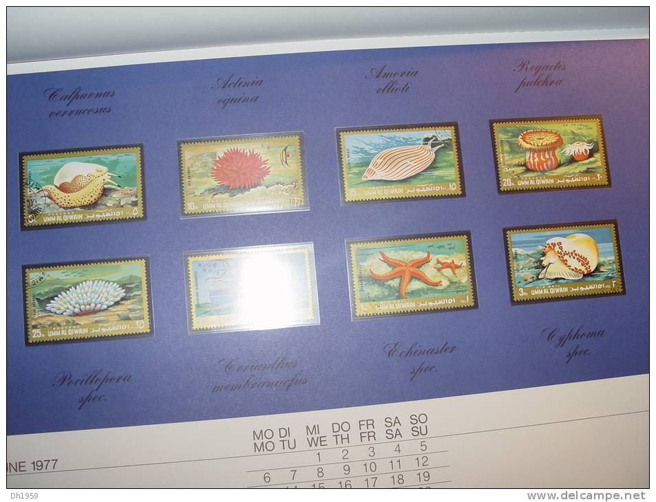 CALENDRIER AVEC TIMBRES POISSON FISH  ... wundervolle Welt der Fische ... Kalender 1977 ...