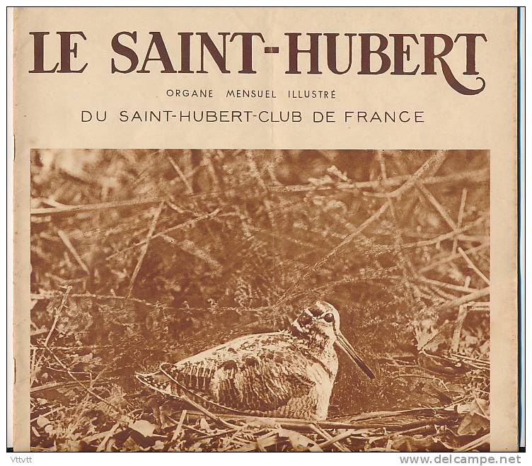 CHASSE "LE SAINT-HUBERT", N° 3 (1936) : Tadorne, Sarcelles, Canard, Lettonie, Rambouillet, Cerf, Rhinoceros, Chien... - Chasse/Pêche