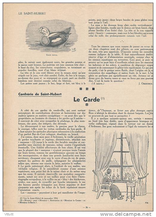 CHASSE "LE SAINT-HUBERT", N° 3 (1936) : Tadorne, Sarcelles, Canard, Lettonie, Rambouillet, Cerf, Rhinoceros, Chien... - Chasse/Pêche