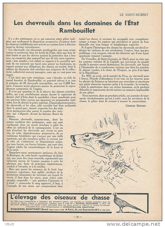 CHASSE "LE SAINT-HUBERT", n° 3 (1936) : Tadorne, Sarcelles, Canard, Lettonie, Rambouillet, Cerf, Rhinoceros, Chien...