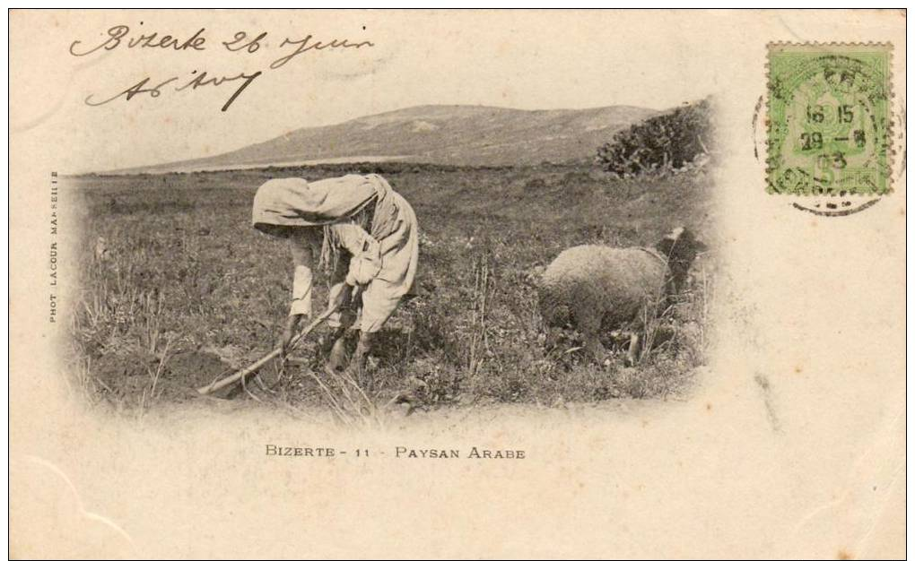 TUNISIE BIZERTE  Paysan Arabe - Tunisie