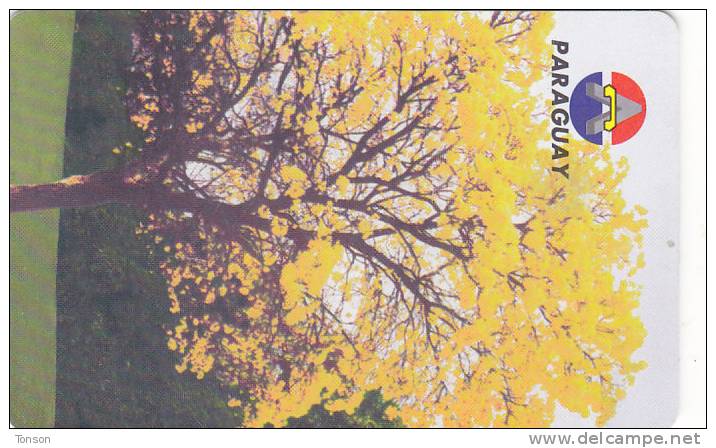 Paraguay, PAR-A-16, 10 Units, Lapacho, National Tree, 2 Scans. - Paraguay