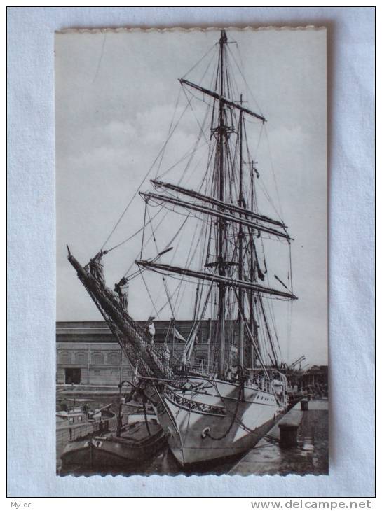 Navire - Ecole "Mercator" Schoolschip. Antwerpen. Anvers. - Voiliers