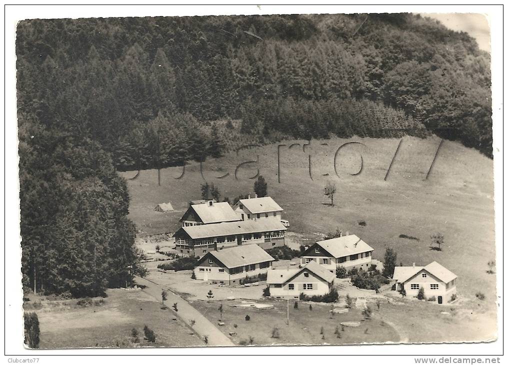 Ferrette (68) : Vue Aérienne Générale Au Niveau De La Colonie De Vacances "Joie Et Santé" En 1964 (animée). - Ferrette