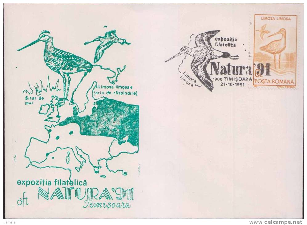 Bird, Crane, Pictorial Postmark, Special Cover, Map, Romania - Cranes And Other Gruiformes