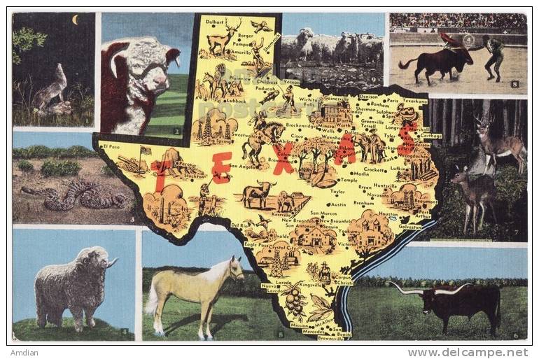 TEXAS Vintage GREETINGS Postcard~STATE MAP~c1940s~TEXAS ANIMALS~COYOTTE-HORSE~TX  [c4065] - Autres & Non Classés