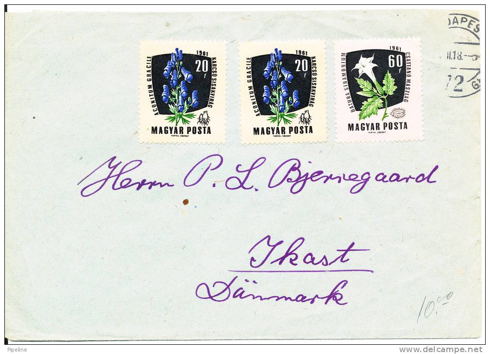 Hungary Cover Sent To Denmark 1961 ?? - Brieven En Documenten