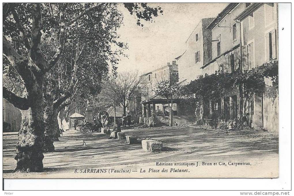 SARRIANS - La Place Des Platanes - Sarrians