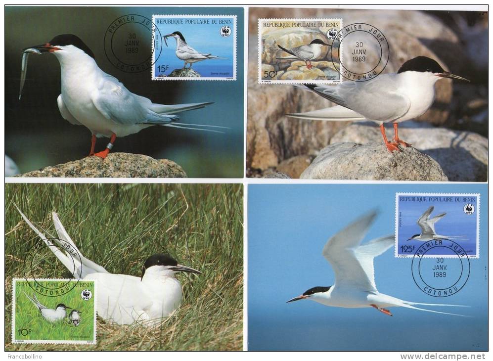 BENIN -ROSEATE TERN/STERNE WWF OFFICIAL MAXIMUM CARD 1989 - Benin