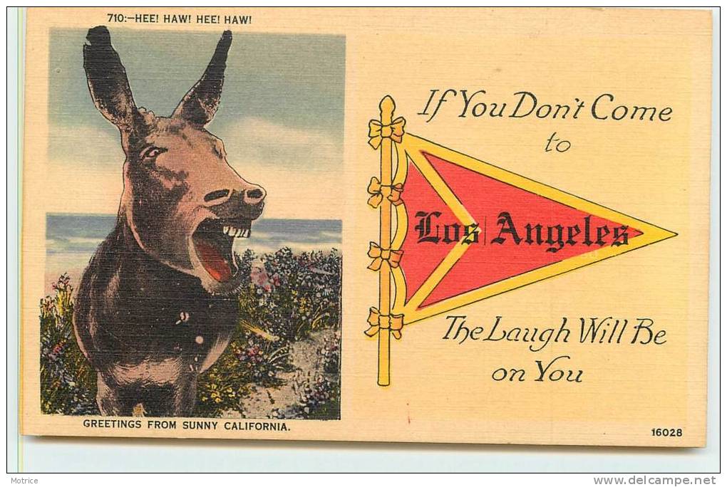 ÂNE  - Carte Américaine,If You Don't Comme To Los Angeles. - Anes