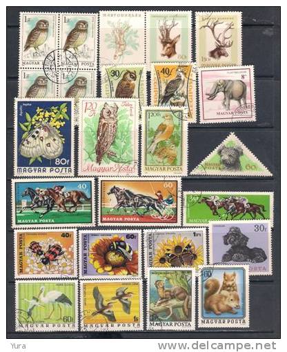 Lot 192 Hungary 500++  Without Dublicates MNH, Mint, Used - Collezioni