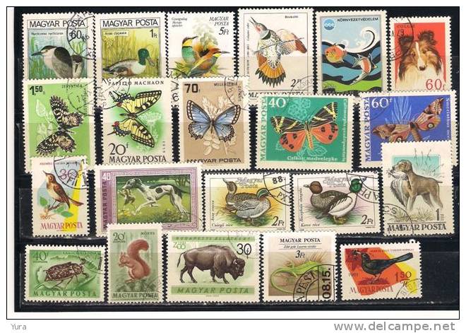 Lot 192 Hungary 500++  without dublicates MNH, Mint, Used