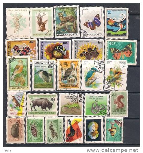 Lot 129  Hungary 400+ Without Dublicates 17 Scans MNH, Mint, Used - Collections