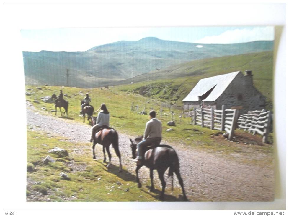 PROMENADE A CHEVAL COL DE PRAT DE BOUC PLOMB DU CANTAL - Autres & Non Classés