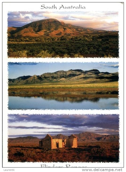 (415) Australia - South Australia - Flinders Ranges - Other & Unclassified