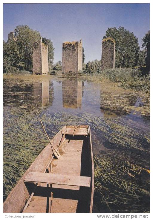 Cp , 86 , LUSSAC-les-CHÂTEAUX , Ruines Des Quatre Piles Du Pont-Levis Du Château - Lussac Les Chateaux