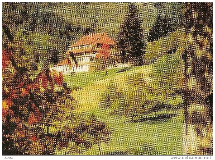 Gasthof HALDENHOF Neuenweg Schwarzwald Lörrach 1972 - Lörrach