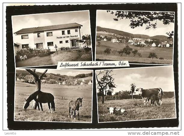 SCHARBACH Pension Auf Dem Bauernhof Odenwald Post Waldmichelbach Hessen 1960 - Odenwald