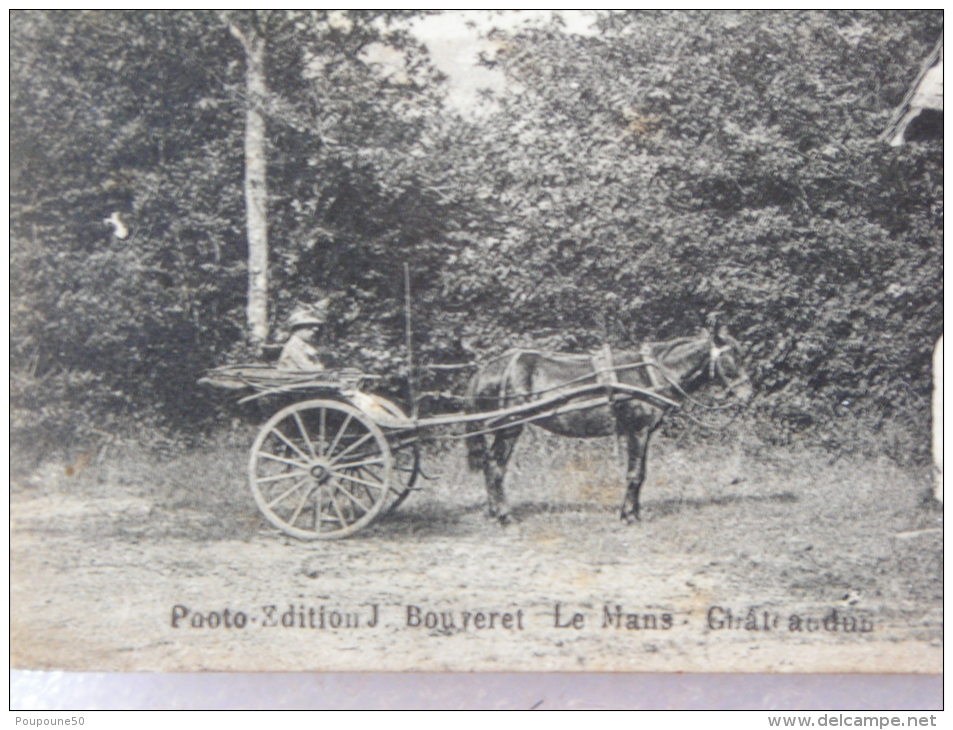 CPA 72 Sarthe  VIBRAYE - La Chapelle Ste Anne Avec Calèche Cheval - Entre La Ferté Bernard  Et Saint St Calais Vers 1910 - Vibraye