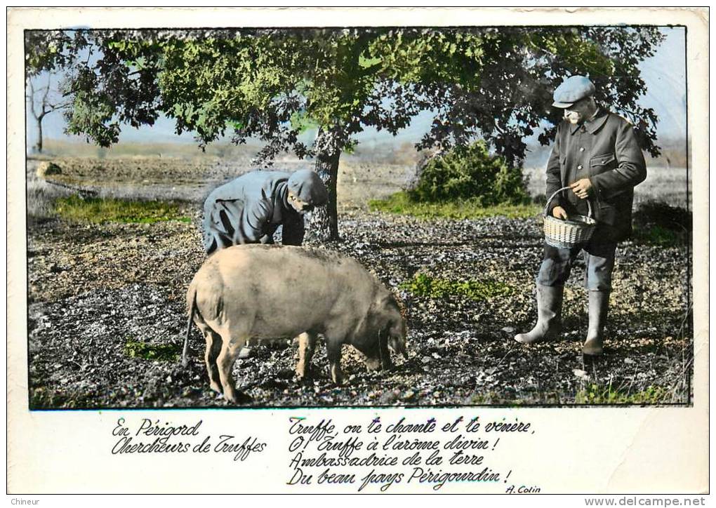 EN PERIGORD CHERCHEUR DE TRUFFES - Other