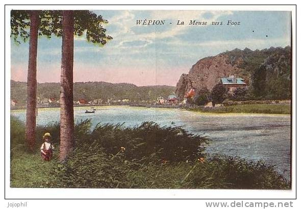 Wépion - La Meuse Vers Fooz - Namur