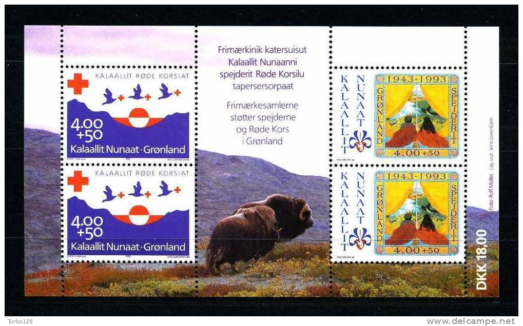 GROENLAND 1993  Bloc  N° 4 ** Neuf = MNH Superbe Cote 24 € Croix Rouge Red Cross Scout Animaux Animals - Blocks & Sheetlets