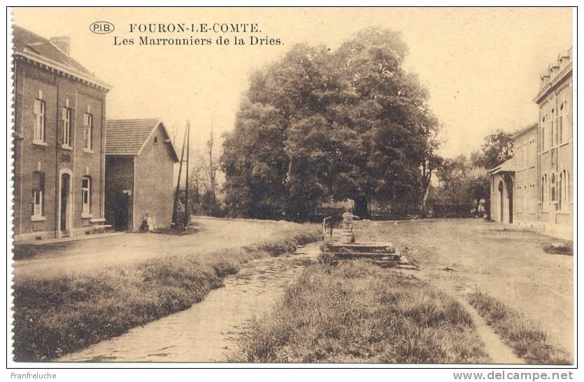 FOURON LE COMTE (3798) Les Marronniers De La Dries - Fourons - Voeren