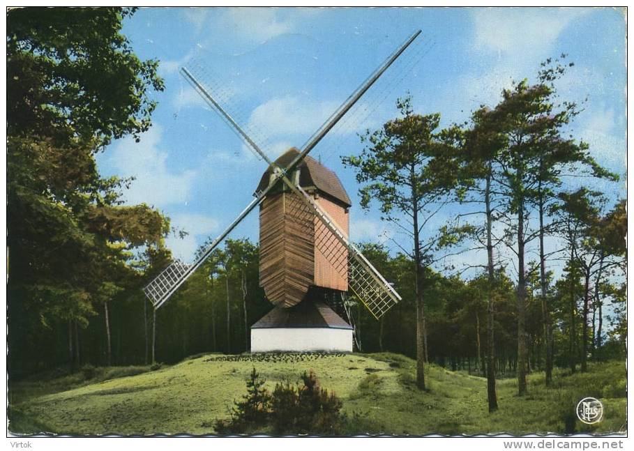 Lommel :  Molen Kattenbos     ( Groot Formaat )   Windmolen - Lommel