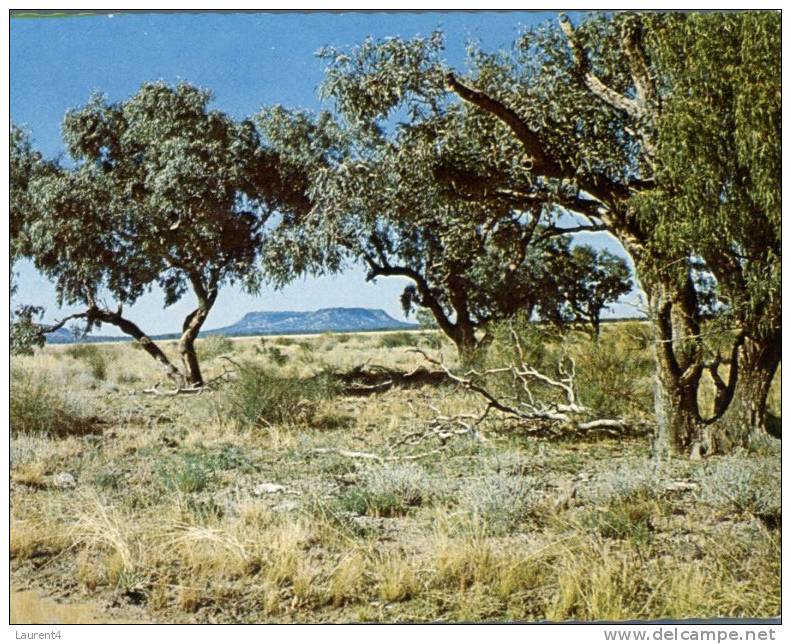 (299) Australia - South Australia - Mt Oxley Near Bourke - Andere & Zonder Classificatie