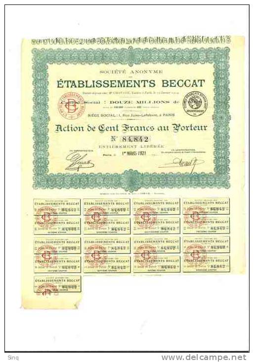 Etablissements Beccat  Action De 100 Francs 19 Janvier 1914 - Autres & Non Classés