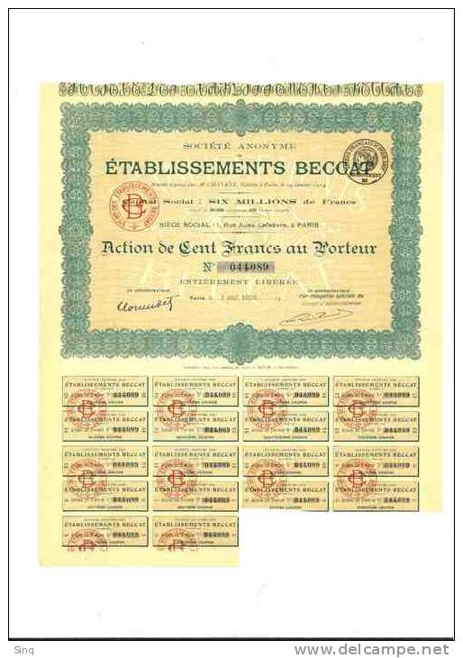 Etablissements Beccat  Action De 100 Francs 19 Janvier 1914 - Autres & Non Classés