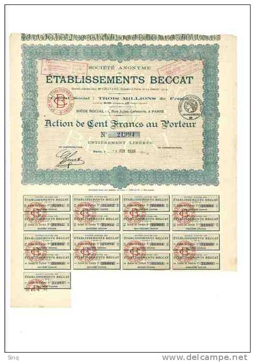 Etablissements Beccat  Action De 100 Francs 19 Janvier 1914 Capital 3 MF - Autres & Non Classés