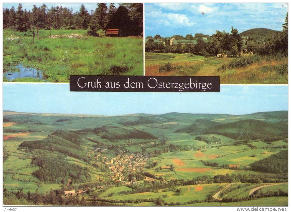 CPM:  ALTENBERG (allemagne):   Grub Aus Dem Osterzgebirge En 1974.      (7488) - Altenberg