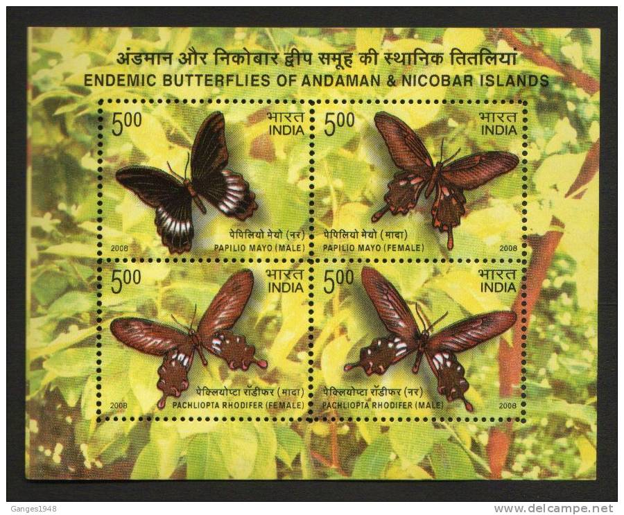 India 2008  ENDANGERED BUTTERFLIES  Bloc Miniature Sheet  PAPILLONS  # 14672 S  Inde Indien - Blocks & Sheetlets